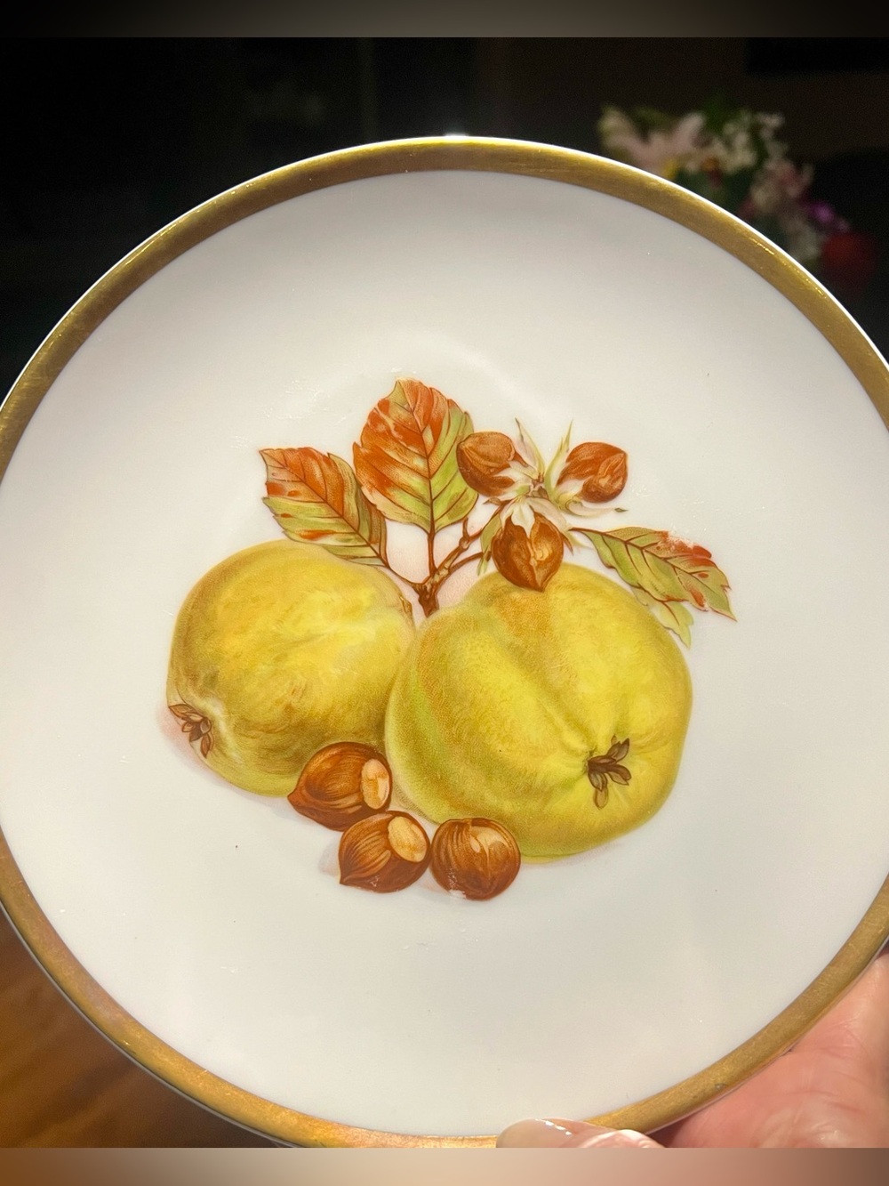 Vintage Jaeger Bavaria Orchard PLUM Plate Replacement E&R Gold Rim